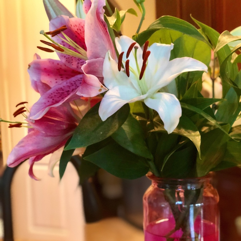 Meet your Posher, Terri